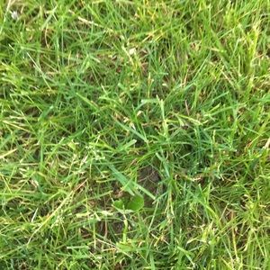 Meet your Posher, Karyn